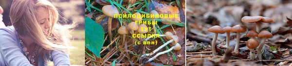 МДПВ Инта