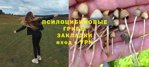 МДПВ Инта