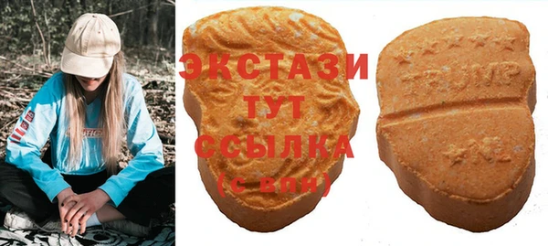 МДПВ Инта